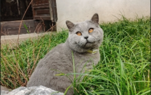 ���_һ���ν�Ϫ���(zh��n)�����ۿ���(d��)��ˮ�l(xi��ng)�L(f��ng)��