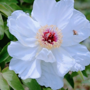 �S�ģ�ĵ�����������ˮ��һA�ǣ�һƳ�@����