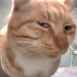 ӛס�˺�����������ȥ�����������z�I�f�����l(f��)�꣡