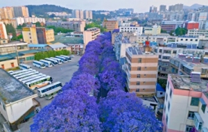 ���������������{��麾`�ŵĻ�ʽ����