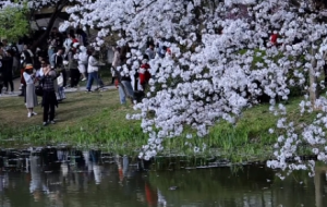 ���׻����´���⏣��ˑB���� ��������