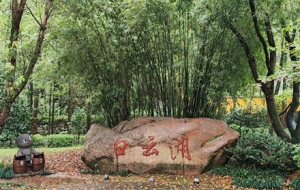 �B�d�²�����£�ˮ��ɽ�塢�U�����e