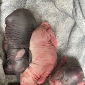 ��Ȼ߀�������@ϲ�����ӌ���һ����߀ͦ��