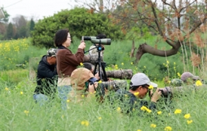 ����@�����^�B�ٵء����ֵ������