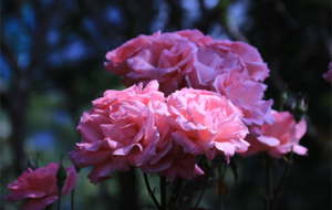 �ز�ס�ˣ�����@Щ�Nޱ�򿨵�������