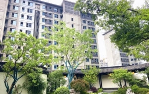 ��ꎳǰl�����f�Q�¡����m�M����......