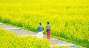 �򿨇�(y��n)�Ҙ��Ͳ˻������]�۸��ܸ�����Ȼ��������ε��ɳ��c�옷