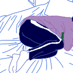 ���괺���ǲ��Ǳ������䣿����L(f��ng)�࣬���괩�����䶼�ܵ�̎����