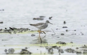 ��ء����`���F�����