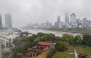 �S���F���ɵČ������➩��׌�ː�������