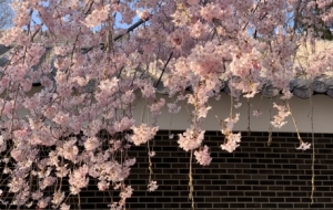 �z�ѷ��������C��Ȼ�����վ�ɫ��������