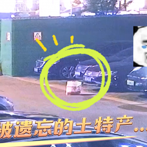 �°l�T�řC����9�q���Ůͯ......