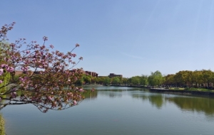 ���Ϻ�����У�@������ഺ�Ě�Ϣ