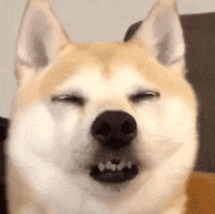 �c(di��n)��һ�����u���ˎ�ʮ�K�������ϰ�һĘ�����ĵ��f�҄�������