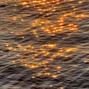 �W(w��ng)�ѷ����ɳ�һ�棺�L(f��ng)�p�p��[�����沨������