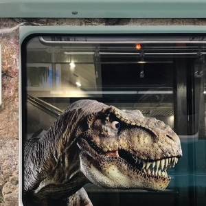 ������l(f��)ȥ�����T�������������Ǻú��氡