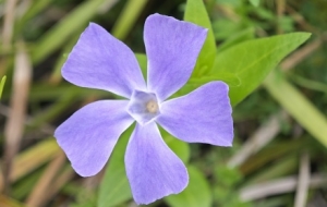 ���֙C(j��)��׽��߅��С���ã���ʵ���Ȼ�^��̫����