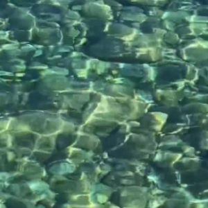 �W(w��ng)���S�ģ�Ϫˮ�峺Ҋ�ף��Z��ʯһ�[�o��