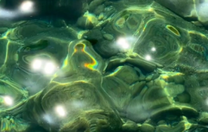 ˮ��γ����R��׌�˸е��\�\�����