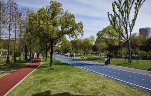 �S���ģ���佻�󣬿����ݵ�������(ji��)