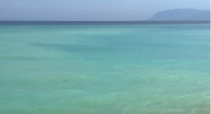 �̲�ʎ�������c���ē����������ĕ�����