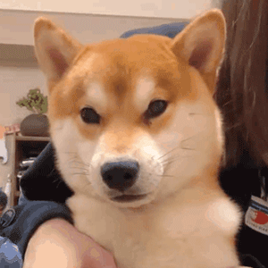 ���ÿ�����֙C�M����������ʮ�࣬�����ò���