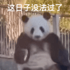 ���X����С�^�b���Ӱ푷��ݵĲɹ����rֵ����ԓҪ�o1��һ�c�a�N