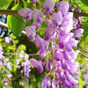 �z�ѷ������L�мs�����` İ�����������