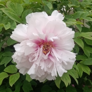 �����ĵ���@�����G������׌�˴���۸�