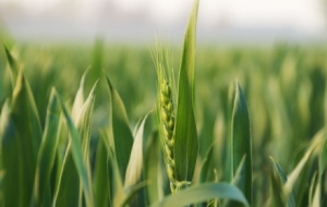 ����20�r59�֣������ʽ�M�롭