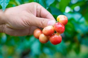 ���l�خa܇�������ˣ�����