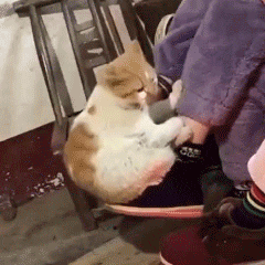 ǰ���콭ꎴ�������o�������܇�����]��܇����ʾ�� �����Ƕ���ʮ���