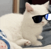 ��̫����棬��Щ·�ڵļt�G�����������ǲ��ǾG��~