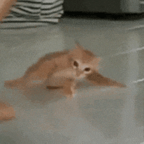 �������²ۣ���ꎳ��л��M���е��Ļ����ɼ������