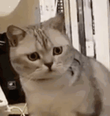 ���T���֙C֧���������y�ìF��֧��߀���e�ˣ��ึ����K