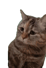 �����lή�s߀���U���أ���ˎ����ۜI�������䣡�@����������������