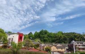 �򿨴󞳴壺���ܹ��ϴ���������c�tɫ�Ļ��Ă���