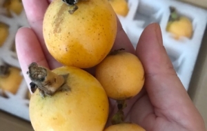 �@���������ڽ������úò������Ϳ��Л]����������������÷��ˮ����