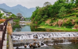 ����ǿ����N������С�ǵ�����ֹ�@Щ