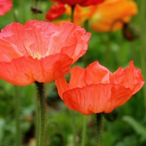 ���ܔzӰ�������˻��_����G���������ǻ�������