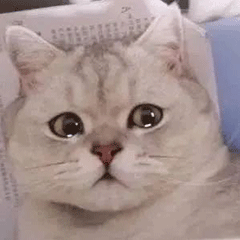 �����@ô���ĵċ�������ʮ���ꌦ���Ӳ�������ͬ��������������벻ͨ