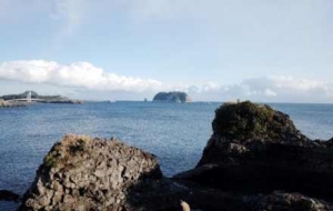 �L(f��ng)��o�޵ĺ������ഺ��Ϣ�������