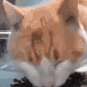 �ゃÿ���ܴ�����X�����X̫�y����һ��ٍ��ٍ������ô��