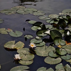 �������ף��ֵ����ĺɻ��ļ���(ji��)~