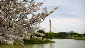 �e��ܽ�غ�������ʢ�_��һ��һ�����箋