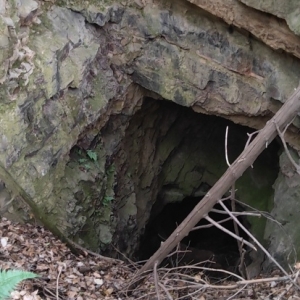 �Sɽ����������һ�������棡��֪������ɶ��