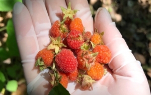 ���_���n��������ܴ���Ȼ����ٛ