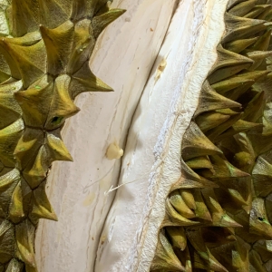 �򿴵�����ɏ��Ƥ��ú�ֱ�@���^ֹ������߀��ٛһ�������Ǵ�С�Ĺ���