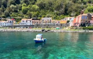 ���պ��u��ε�{�o߅���� �L��