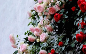 �Nޱ���M�����ʹ������˂�β�������������^